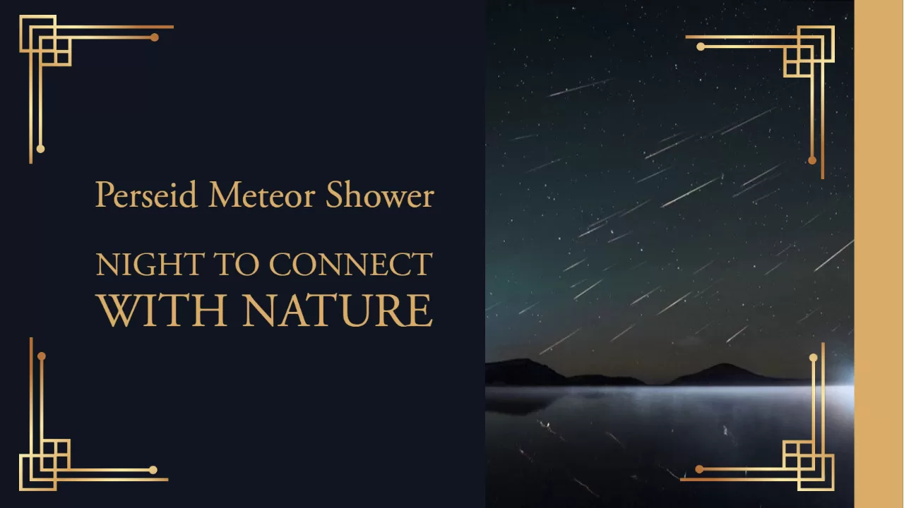Home 57 The Perseid Meteor Shower: A Night to Connect with Nature and the Universe